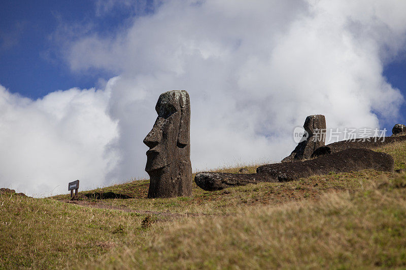 Rano Raraku 上的摩艾石像